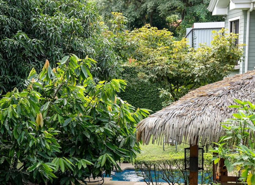 Cảnh ngoài trời Ảnh