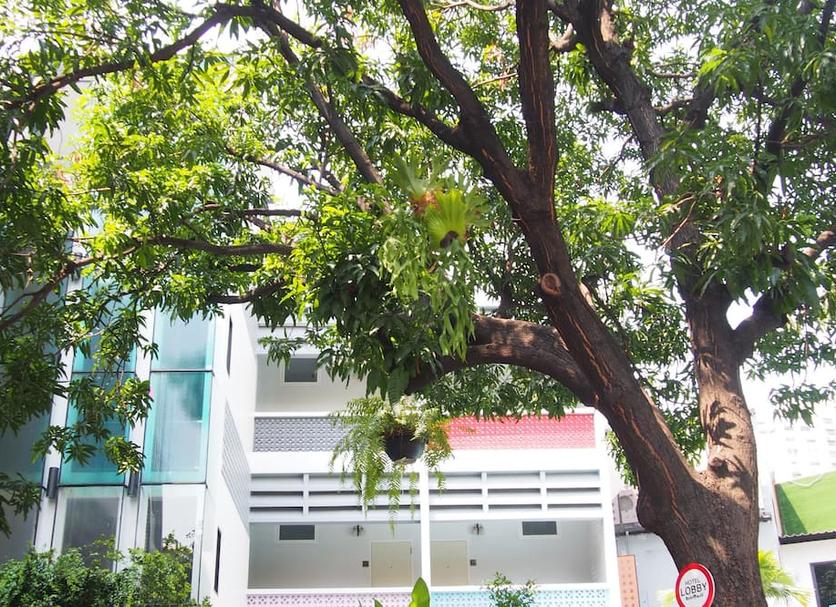 Cảnh ngoài trời Ảnh