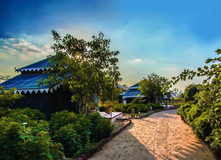 Cảnh ngoài trời Ảnh