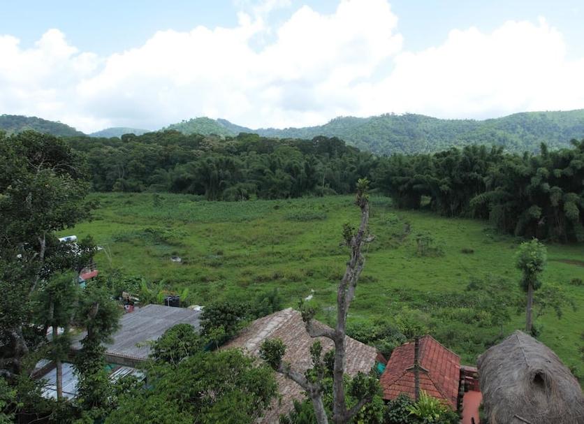 Cảnh ngoài trời Ảnh