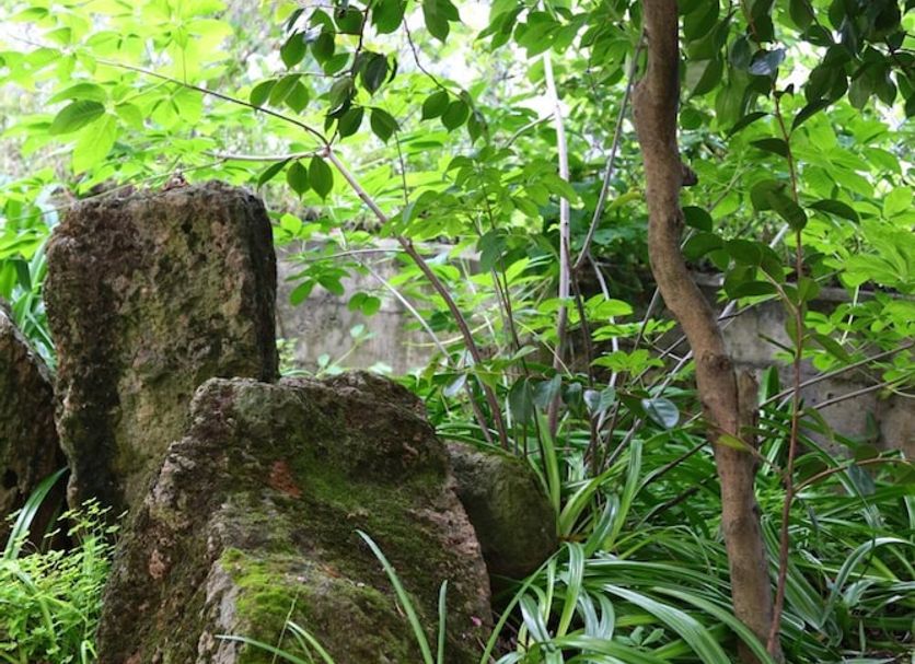 Cảnh ngoài trời Ảnh