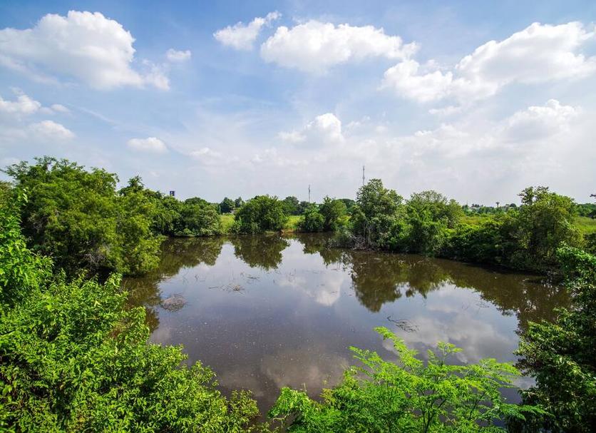 Cảnh ngoài trời Ảnh