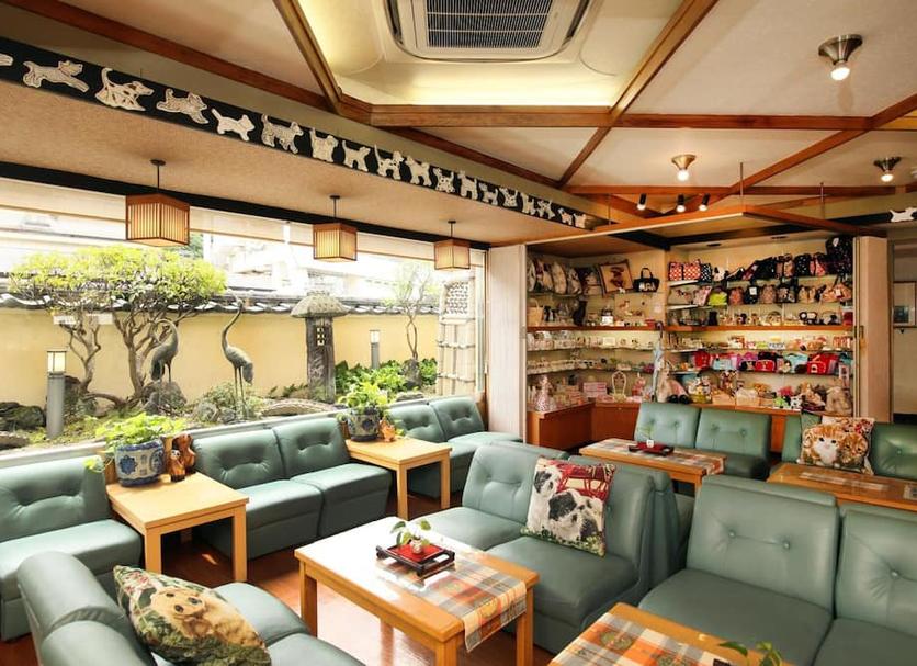 Lounge Ảnh