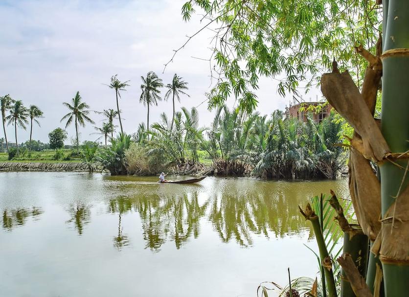 Cảnh ngoài trời Ảnh