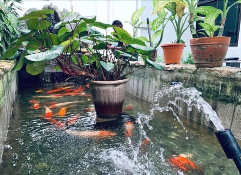 Khác Ảnh