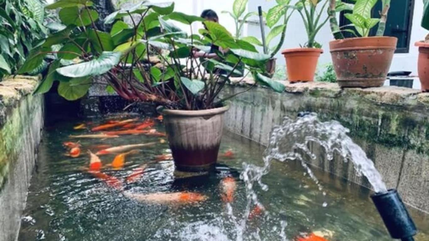 Lai Ming Hotel Cosmoland