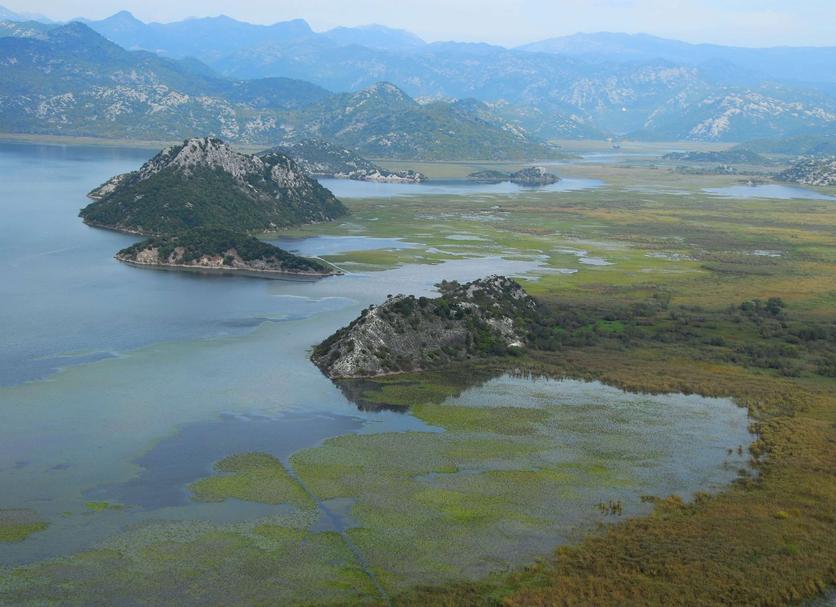 Khác Ảnh