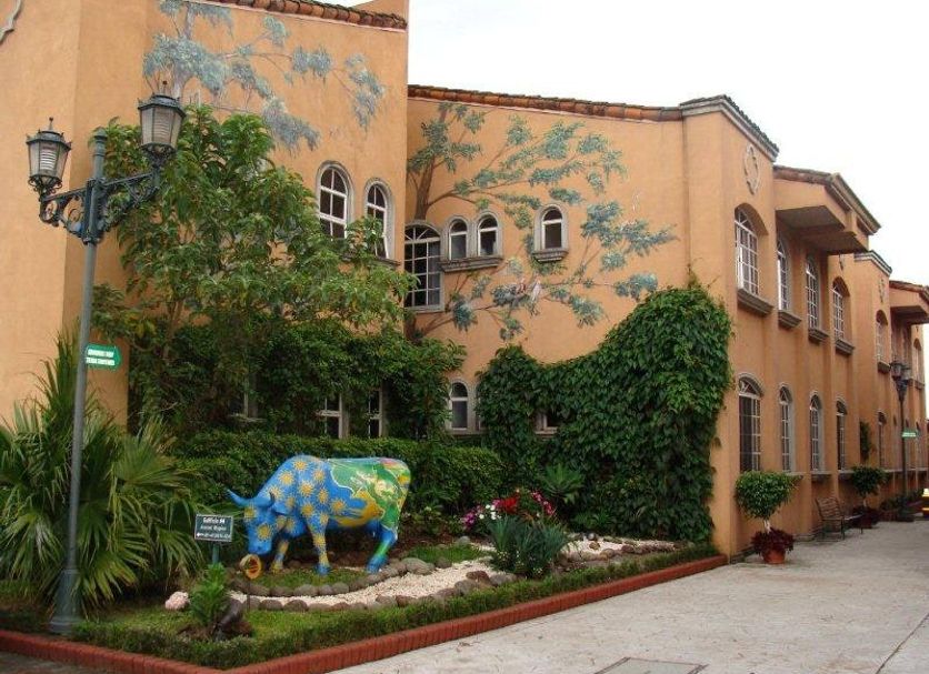 Cảnh ngoài trời Ảnh