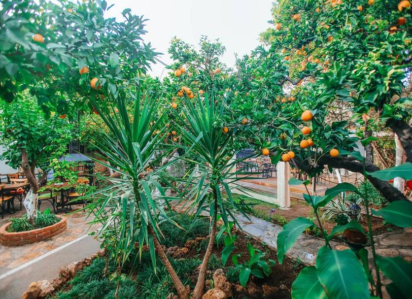Cảnh ngoài trời Ảnh