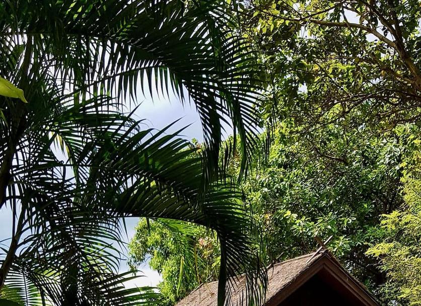 Cảnh ngoài trời Ảnh