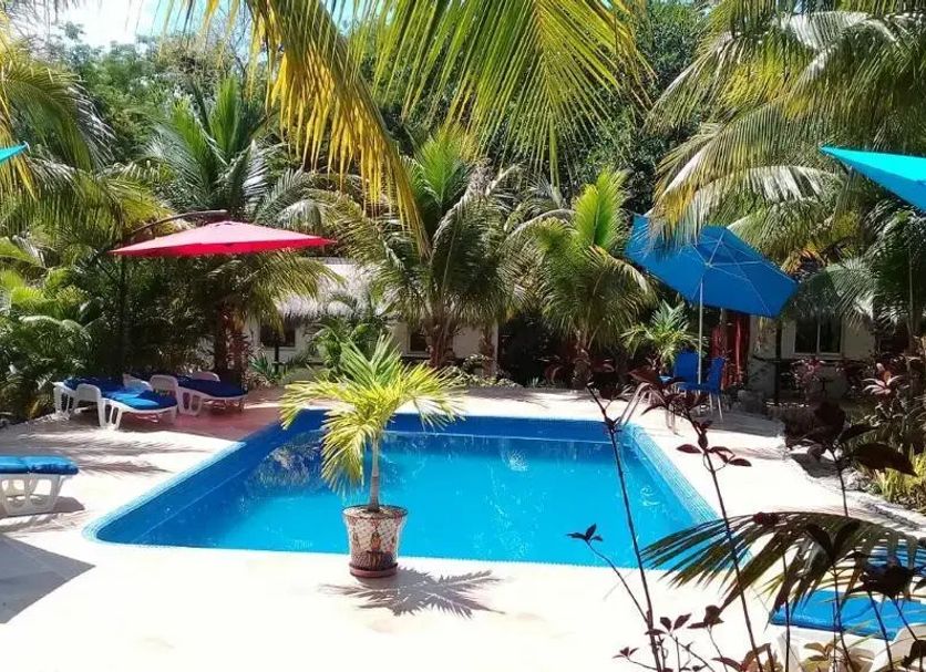 Bể bơi Ảnh