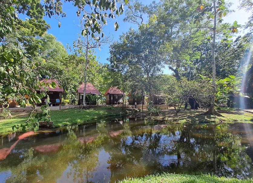 Cảnh ngoài trời Ảnh