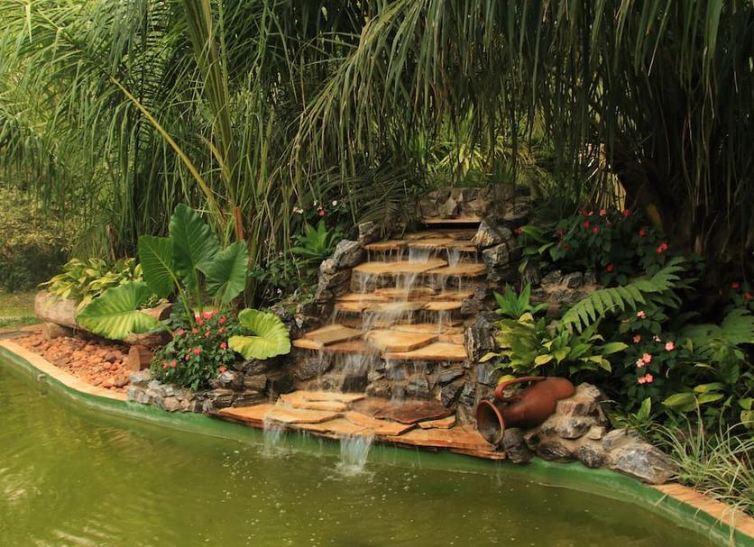 Cảnh ngoài trời Ảnh
