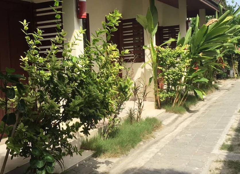 Cảnh ngoài trời Ảnh