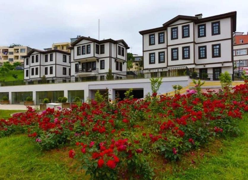 Cảnh ngoài trời Ảnh