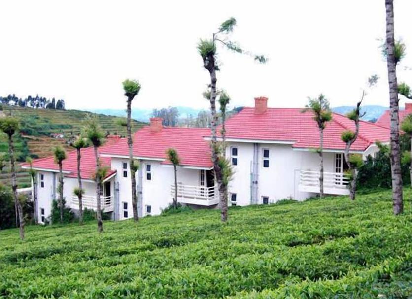 Toà nhà Ảnh