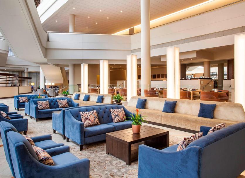 Lounge Ảnh