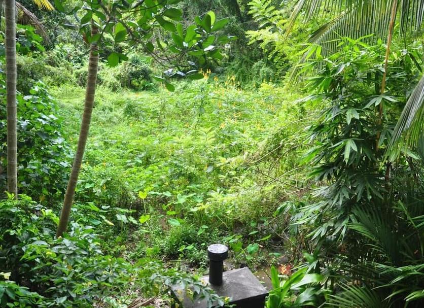 Phòng tắm Ảnh