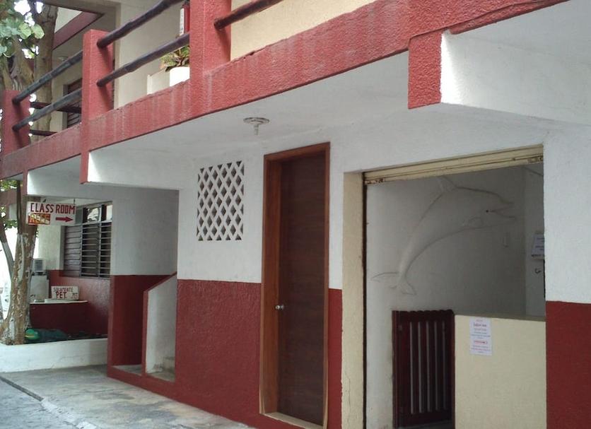 Cảnh ngoài trời Ảnh