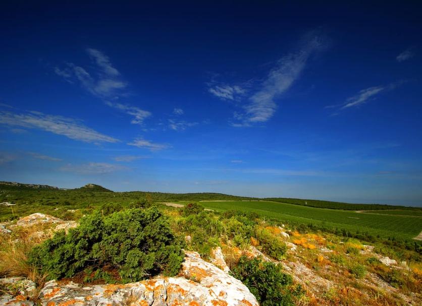 Cảnh ngoài trời Ảnh