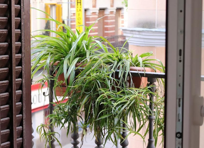 Cảnh ngoài trời Ảnh