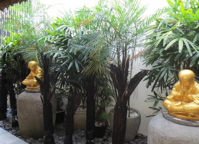 Cảnh ngoài trời Ảnh
