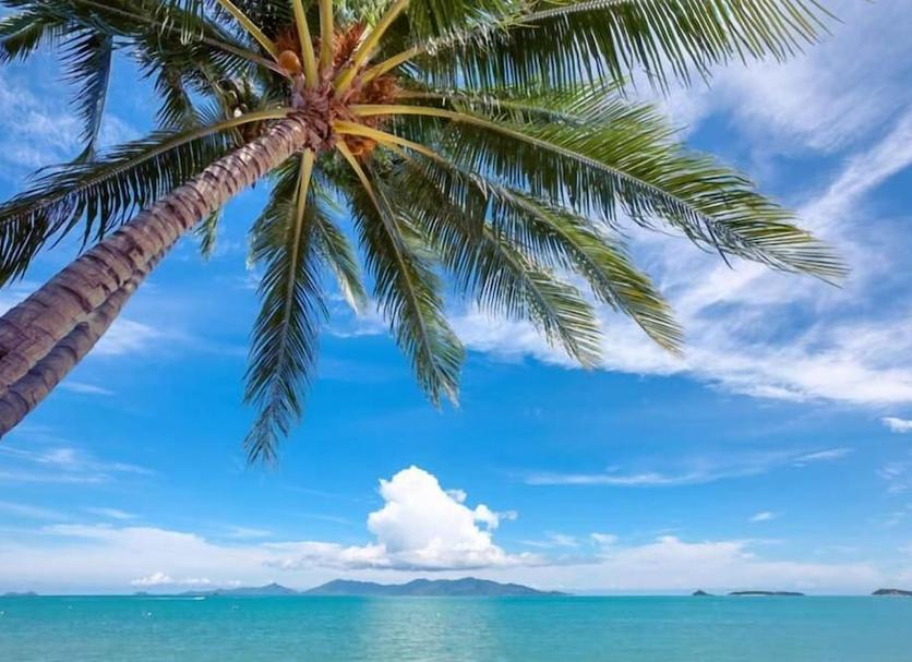 Bãi biển Ảnh