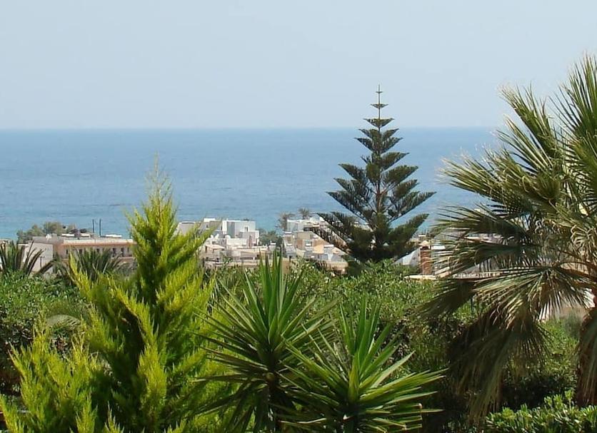 Cảnh ngoài trời Ảnh