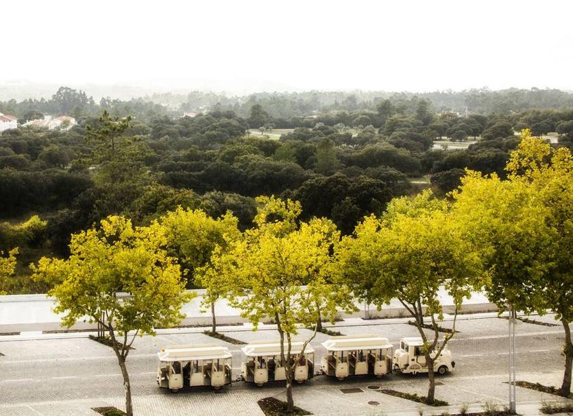 Cảnh ngoài trời Ảnh