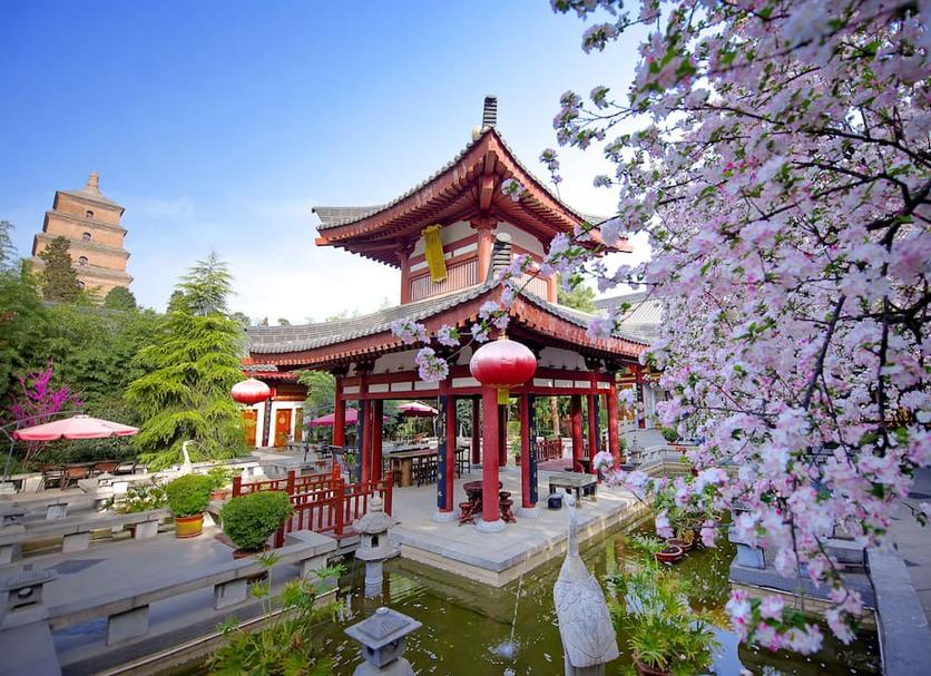 Khác Ảnh