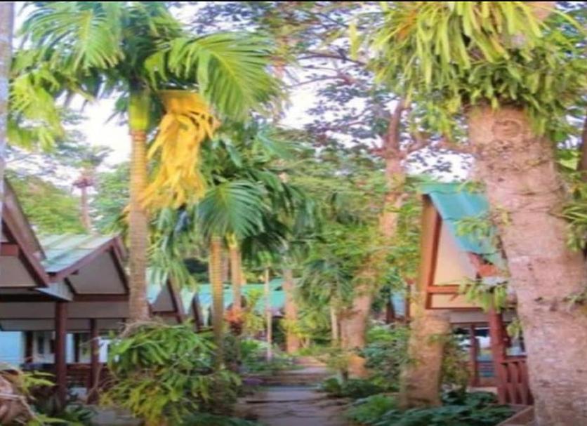 Cảnh ngoài trời Ảnh