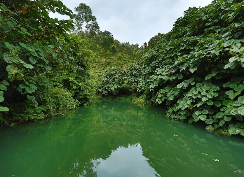 Cảnh ngoài trời Ảnh