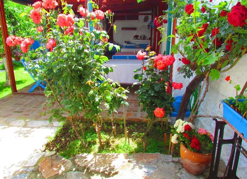 Cảnh ngoài trời Ảnh
