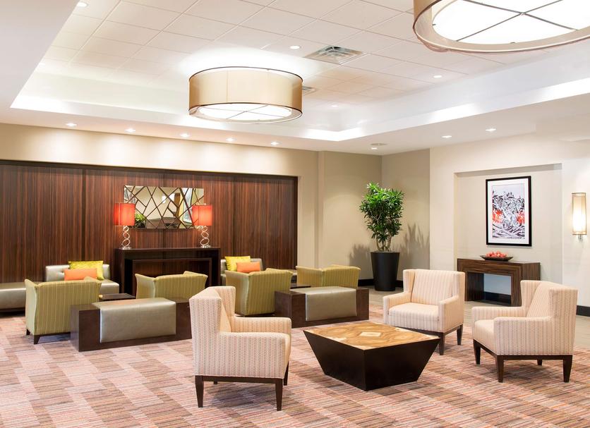 Lounge Ảnh