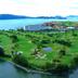 Sân golf