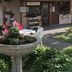 Cảnh ngoài trời