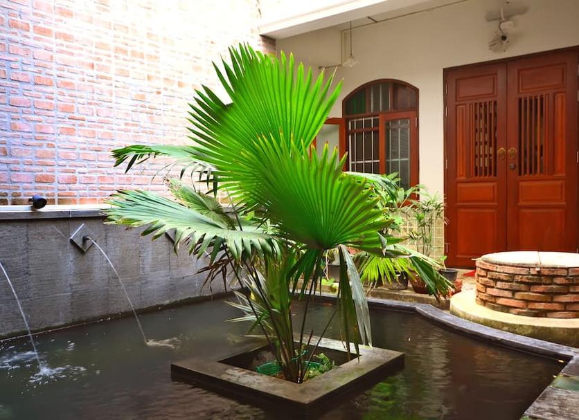 Cảnh ngoài trời Ảnh