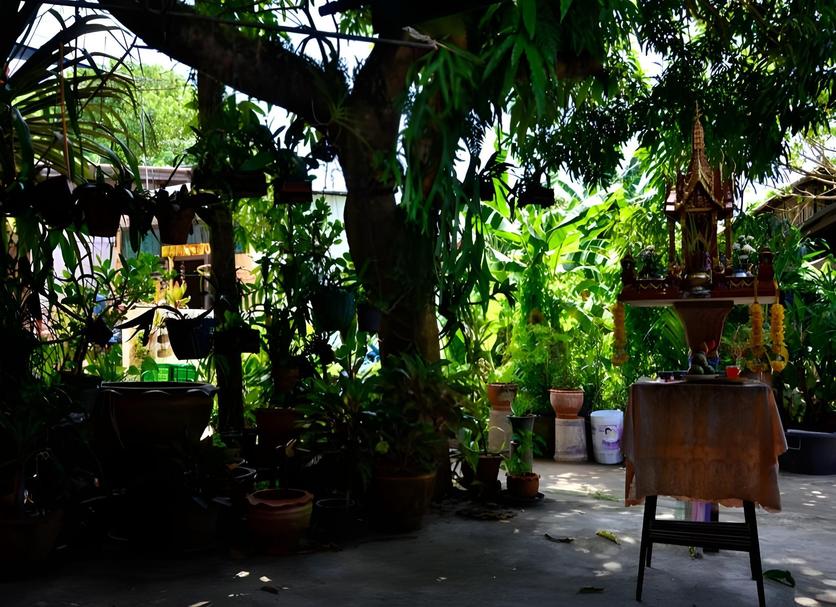 Cảnh ngoài trời Ảnh