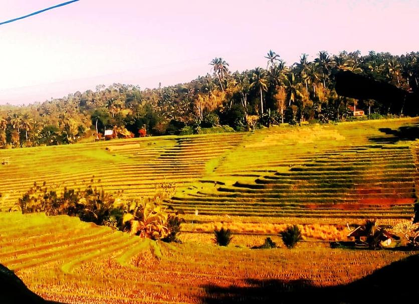 Cảnh ngoài trời Ảnh