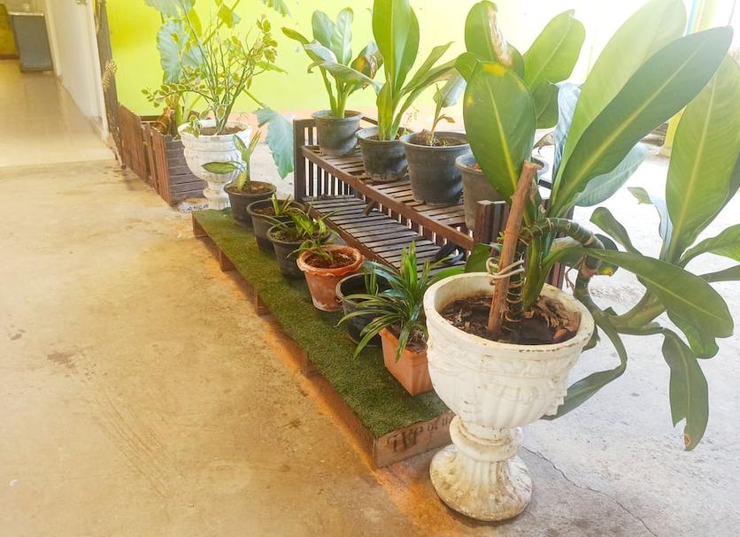 Cảnh ngoài trời Ảnh