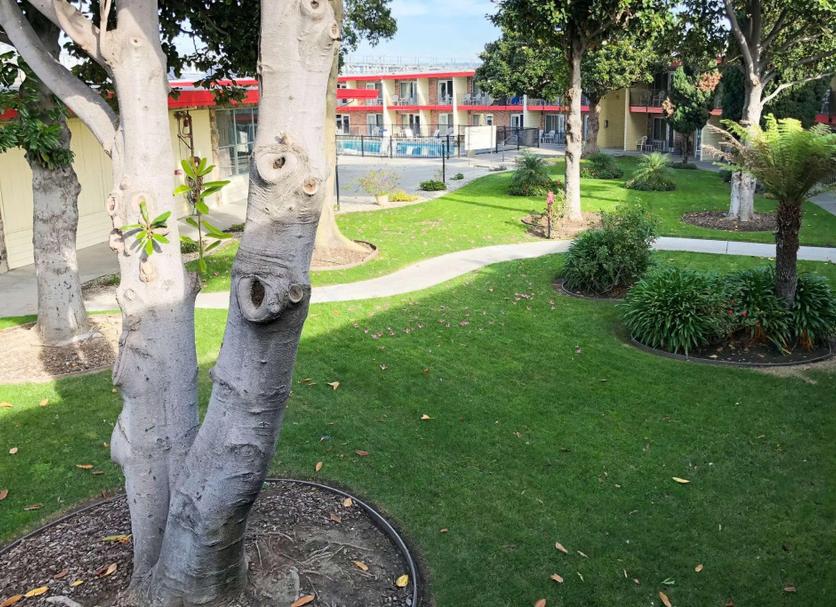 Cảnh ngoài trời Ảnh