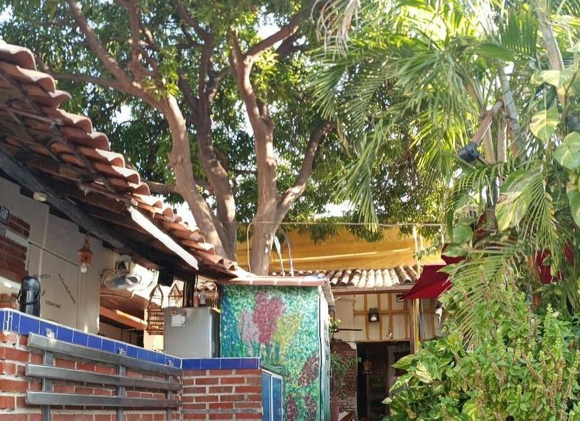 Cảnh ngoài trời Ảnh