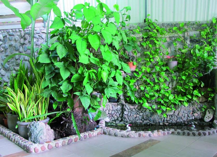 Cảnh ngoài trời Ảnh