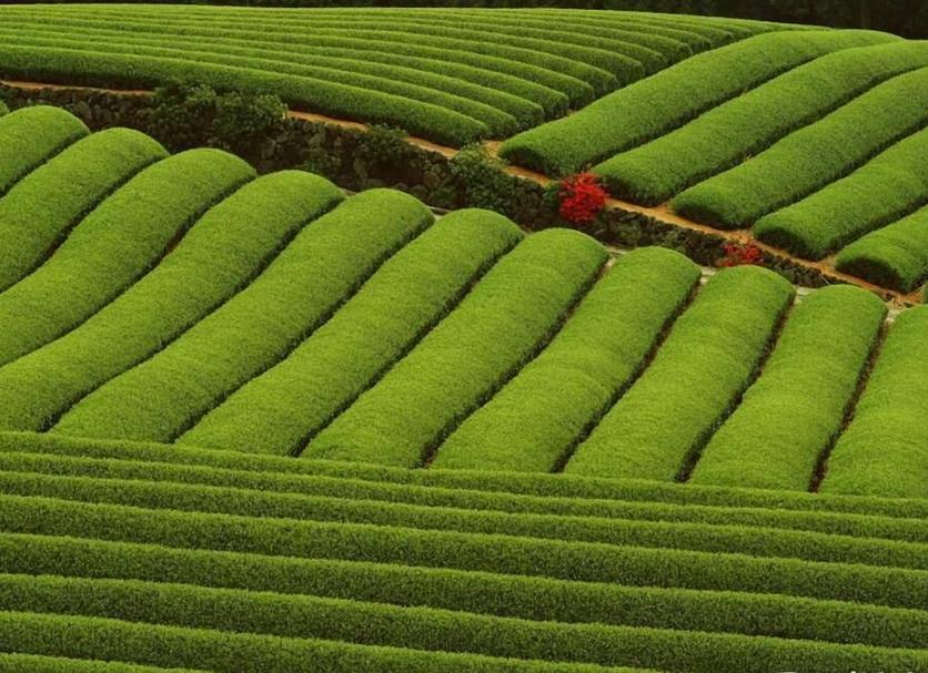Cảnh ngoài trời Ảnh