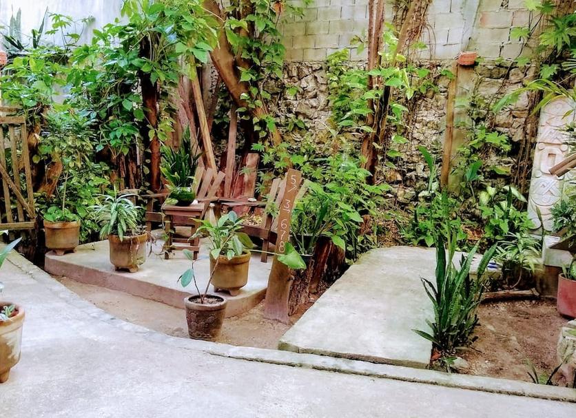 Cảnh ngoài trời Ảnh