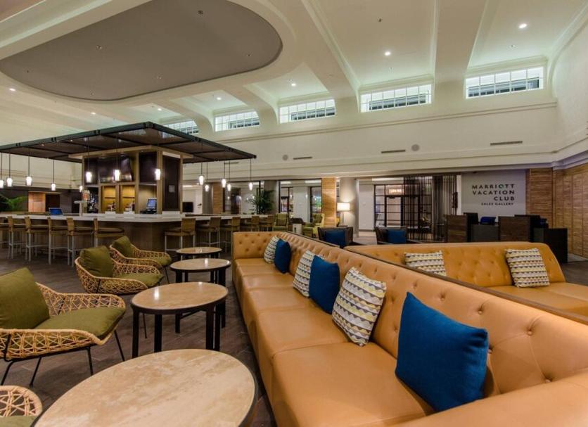 Lounge Ảnh