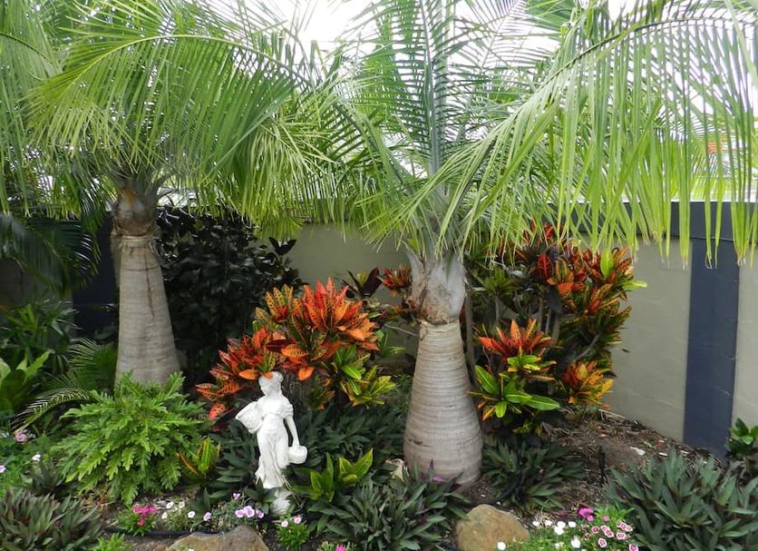 Cảnh ngoài trời Ảnh