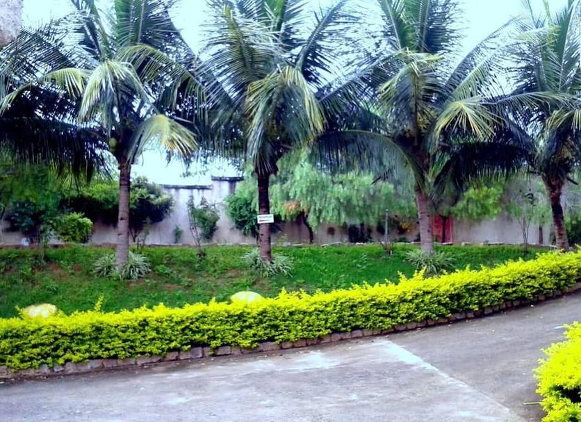 Cảnh ngoài trời Ảnh