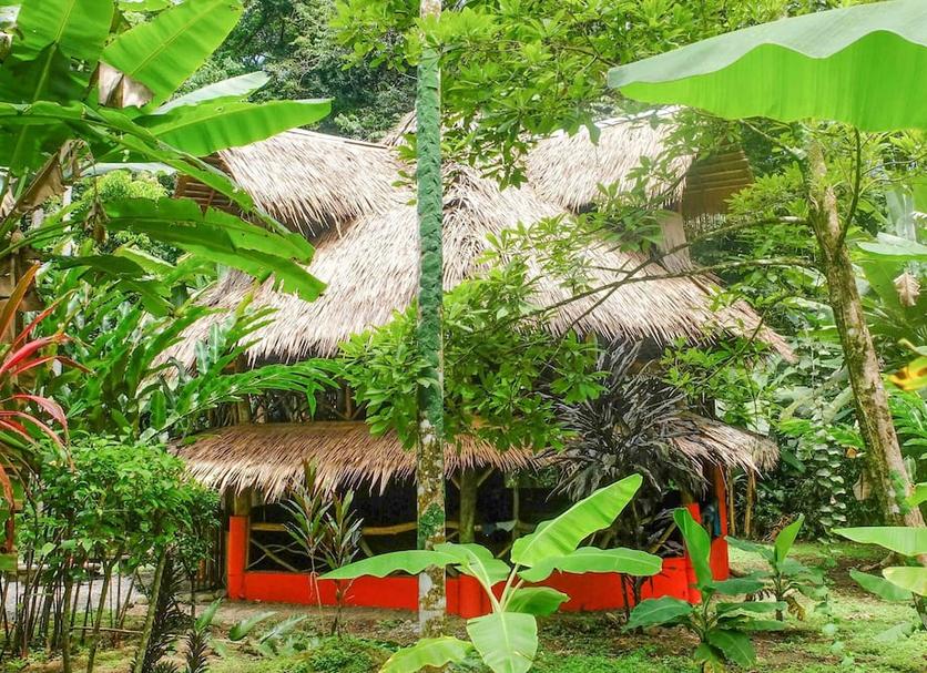 Cảnh ngoài trời Ảnh