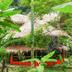 Cảnh ngoài trời